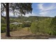 50 Willowvale Drive, Willow Vale QLD 4209