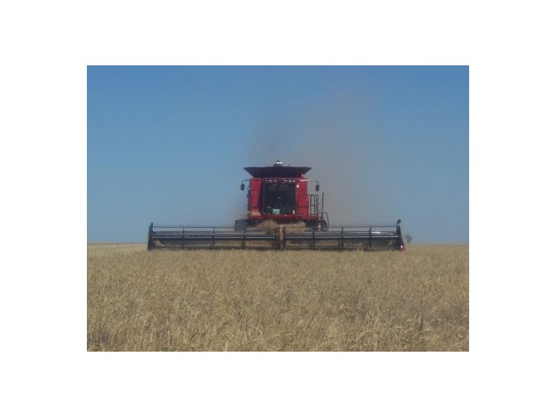 “INVERELLA” & “CARINYA”, Brewarrina NSW 2839