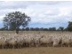 “INVERELLA” & “CARINYA”, Brewarrina NSW 2839