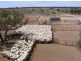 “INVERELLA” & “CARINYA”, Brewarrina NSW 2839