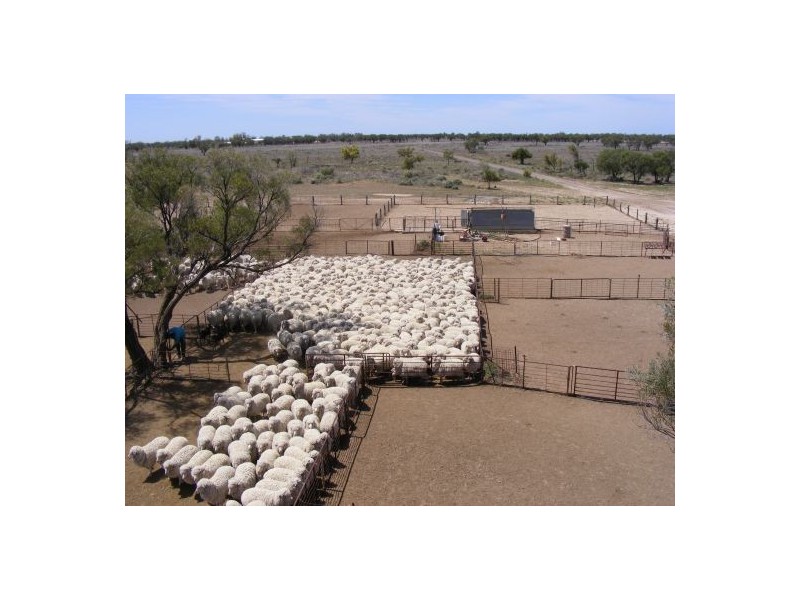 “INVERELLA” & “CARINYA”, Brewarrina NSW 2839