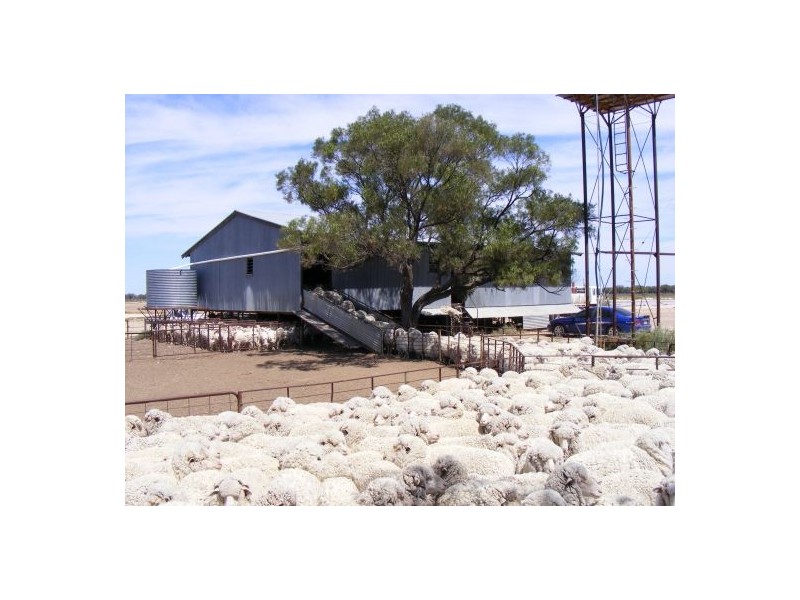 “INVERELLA” & “CARINYA”, Brewarrina NSW 2839