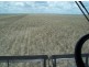 “INVERELLA” & “CARINYA”, Brewarrina NSW 2839