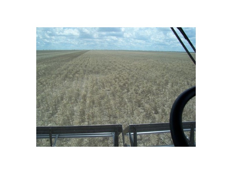“INVERELLA” & “CARINYA”, Brewarrina NSW 2839
