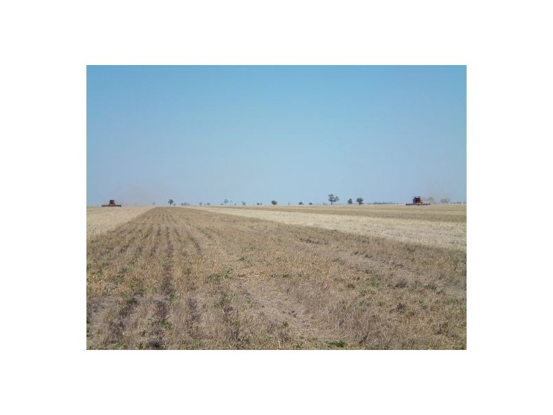 “INVERELLA” & “CARINYA”, Brewarrina NSW 2839