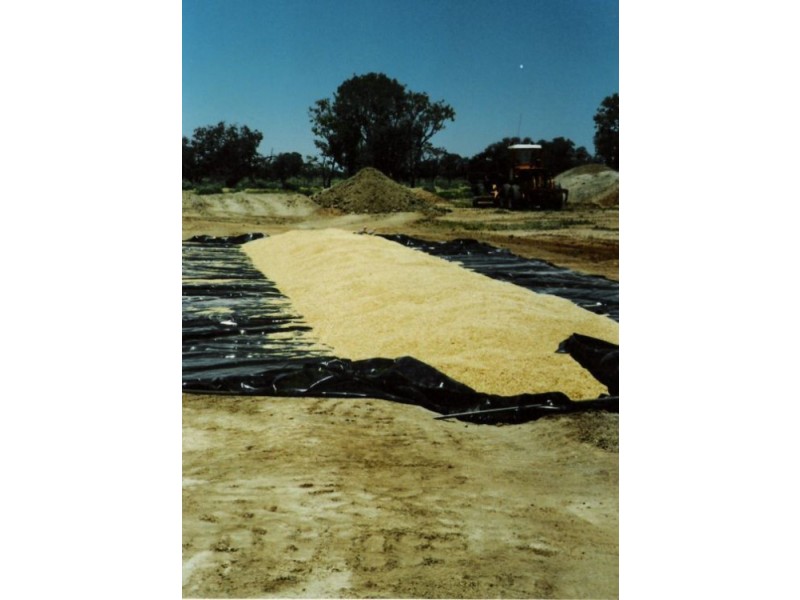 “INVERELLA” & “CARINYA”, Brewarrina NSW 2839