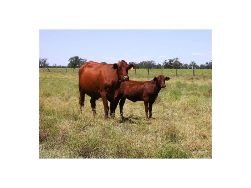 “Dunmore”, Come By Chance NSW 2832