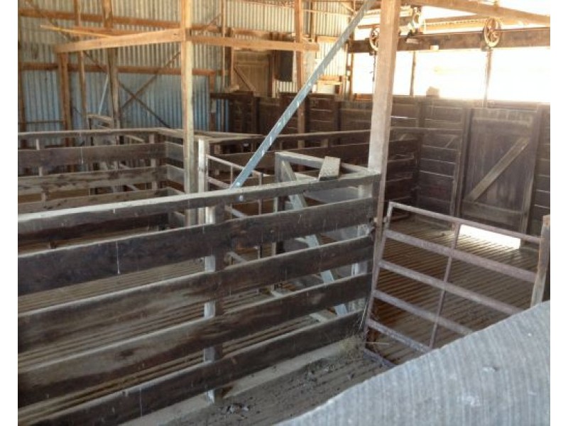 “NARRAN PARK”, Brewarrina NSW 2839