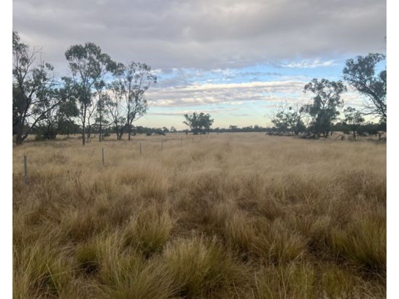 “NARRAN PARK”, Brewarrina NSW 2839 Clemson Hiscox & Co For Sale