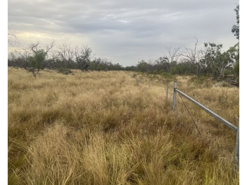 “NARRAN PARK”, Brewarrina NSW 2839