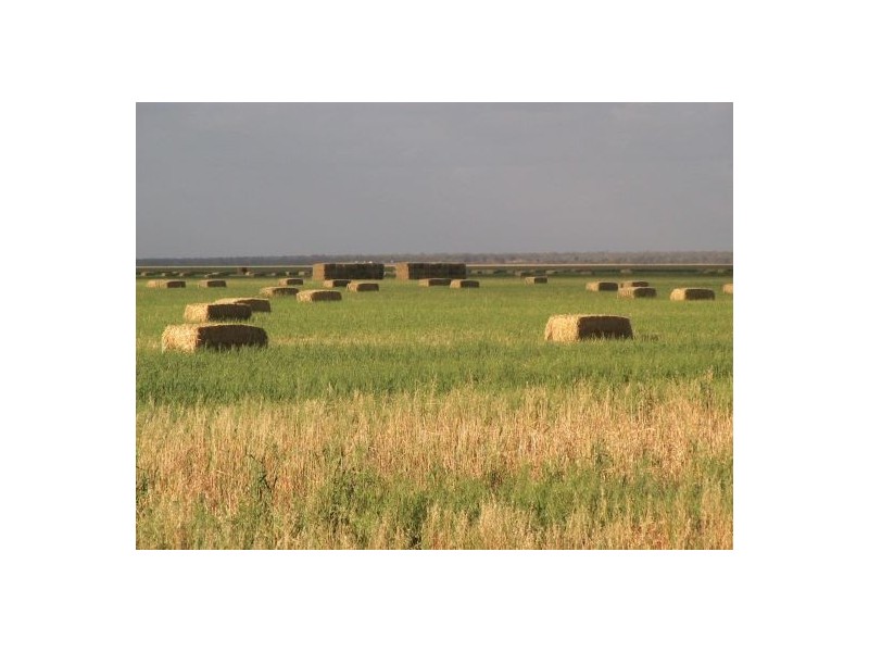 “MALABAR”, Walgett NSW 2832