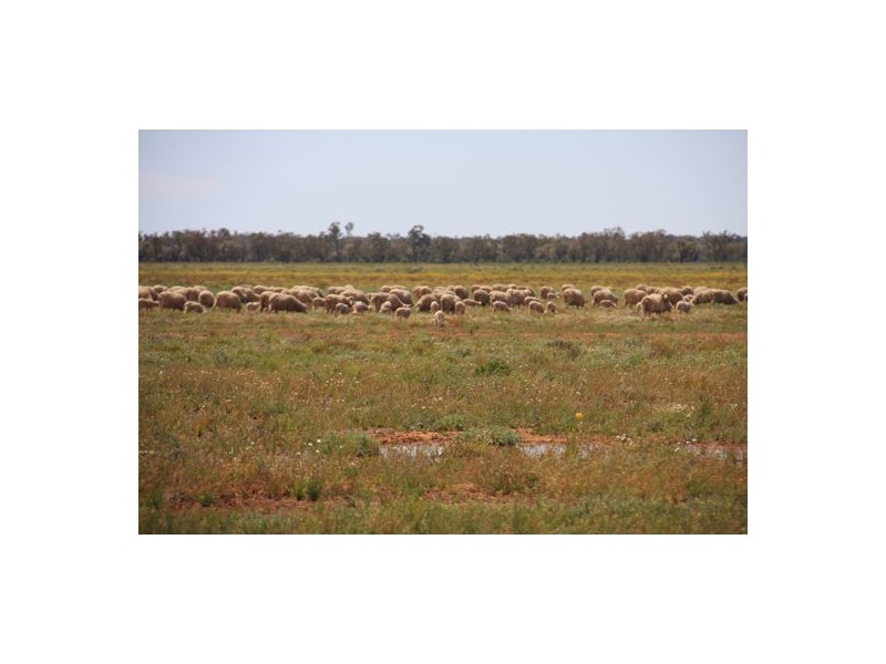 “MALABAR”, Walgett NSW 2832