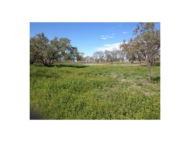 “MALABAR”, Walgett NSW 2832