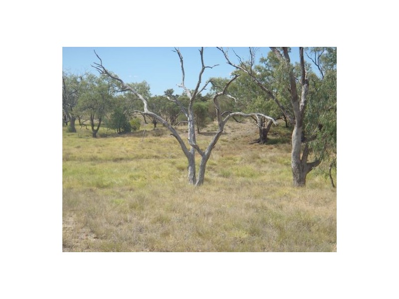 “MALABAR”, Walgett NSW 2832