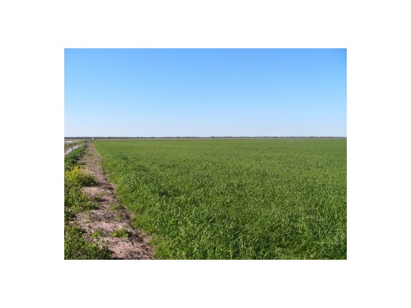 “MALABAR”, Walgett NSW 2832