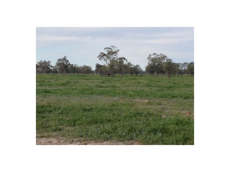 “MALABAR”, Walgett NSW 2832
