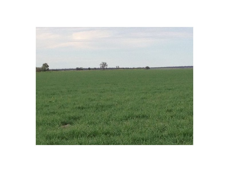 “MALABAR”, Walgett NSW 2832