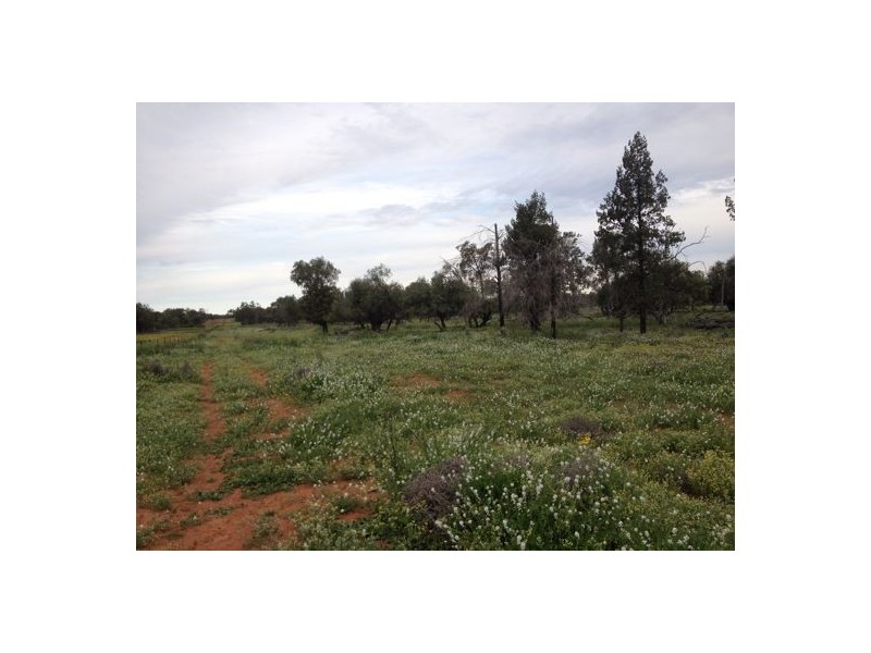 “MALABAR”, Walgett NSW 2832