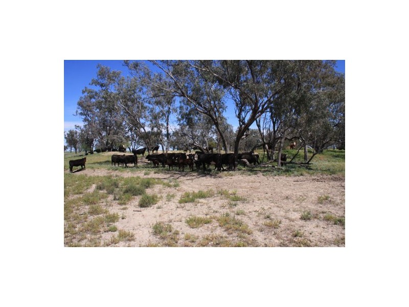 “MALABAR”, Walgett NSW 2832