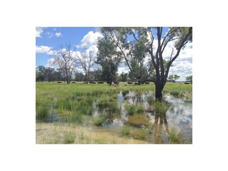 “ULAH”, Walgett NSW 2832