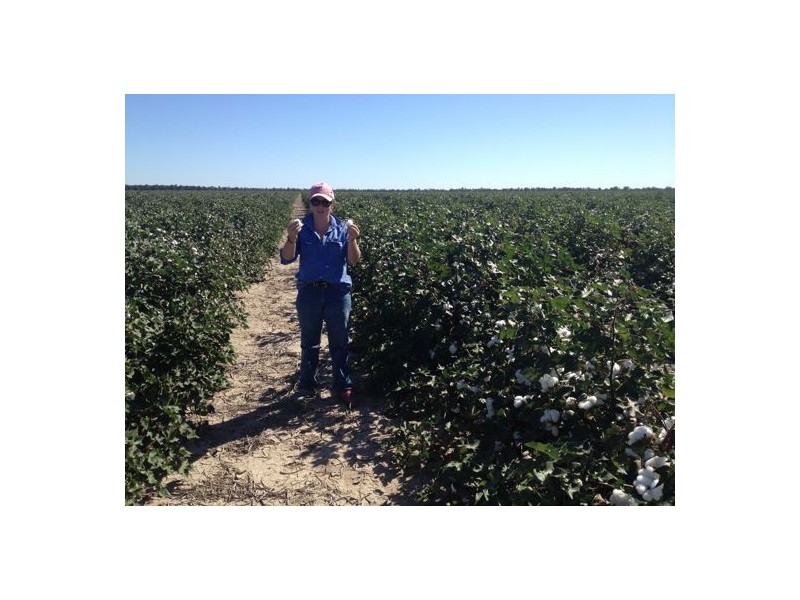 “ULAH”, Walgett NSW 2832