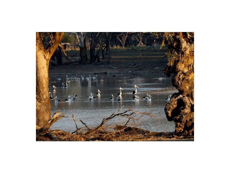 “ULAH”, Walgett NSW 2832