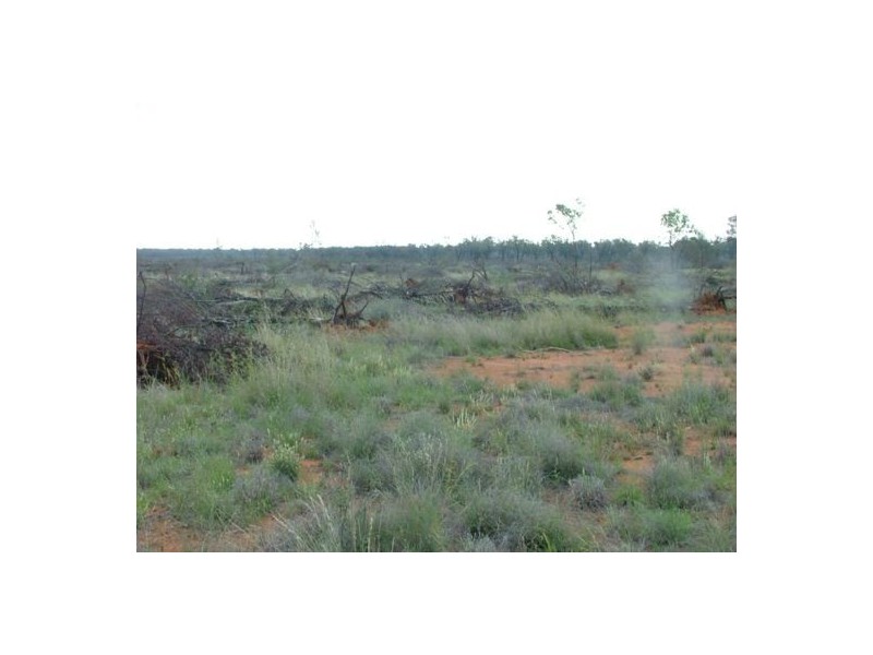 “WANDELLA”, Lightning Ridge NSW 2834