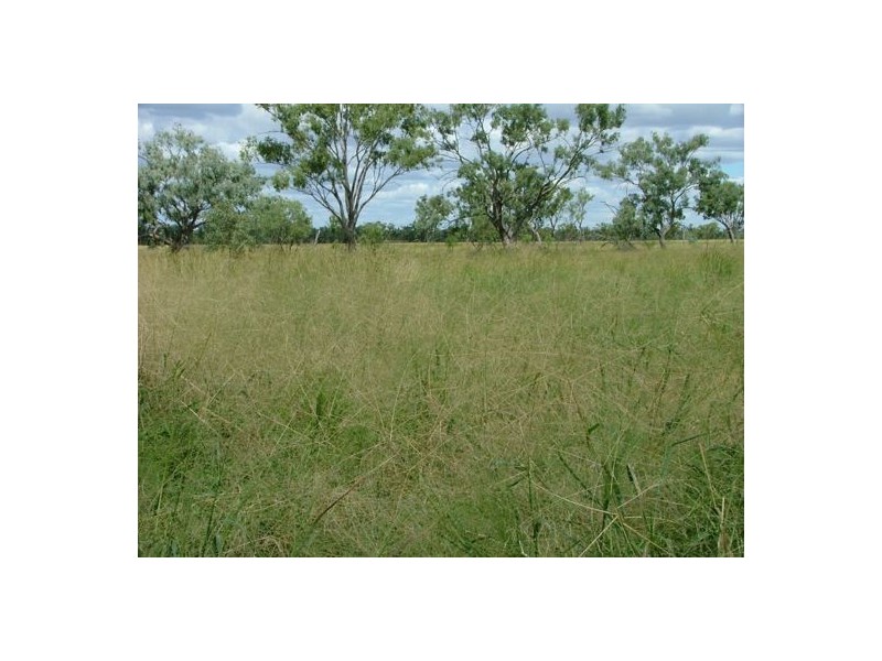 “WANDELLA”, Lightning Ridge NSW 2834