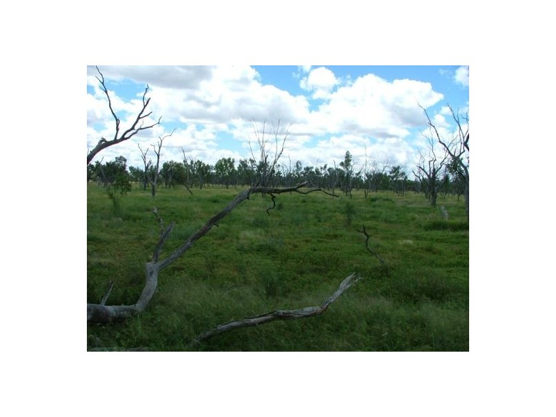 “WANDELLA”, Lightning Ridge NSW 2834