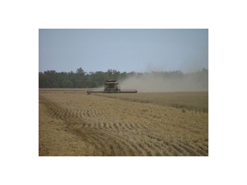 “WANDELLA”, Lightning Ridge NSW 2834