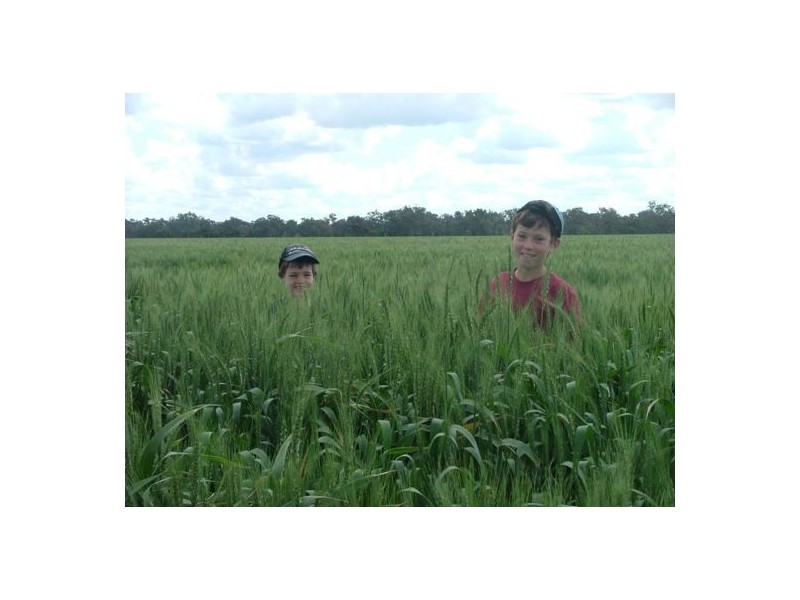 “WANDELLA”, Lightning Ridge NSW 2834