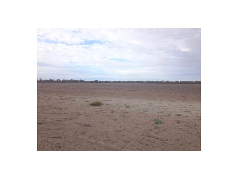 “BELMONT” LOT 51, DP 581514, Walgett NSW 2832