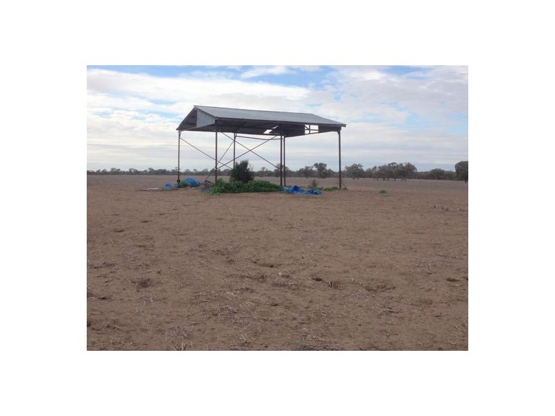 “BELMONT” LOT 51, DP 581514, Walgett NSW 2832
