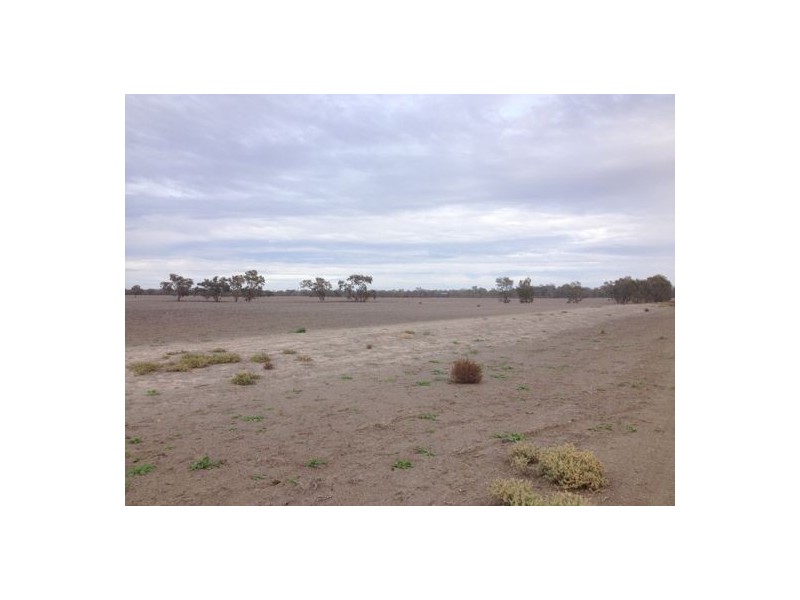 “BELMONT” LOT 51, DP 581514, Walgett NSW 2832