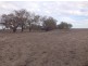 “BELMONT” LOT 51, DP 752271 (BACK BLOCK), Walgett NSW 2832