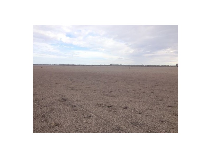 “BELMONT” LOT 51, DP 752271 (BACK BLOCK), Walgett NSW 2832