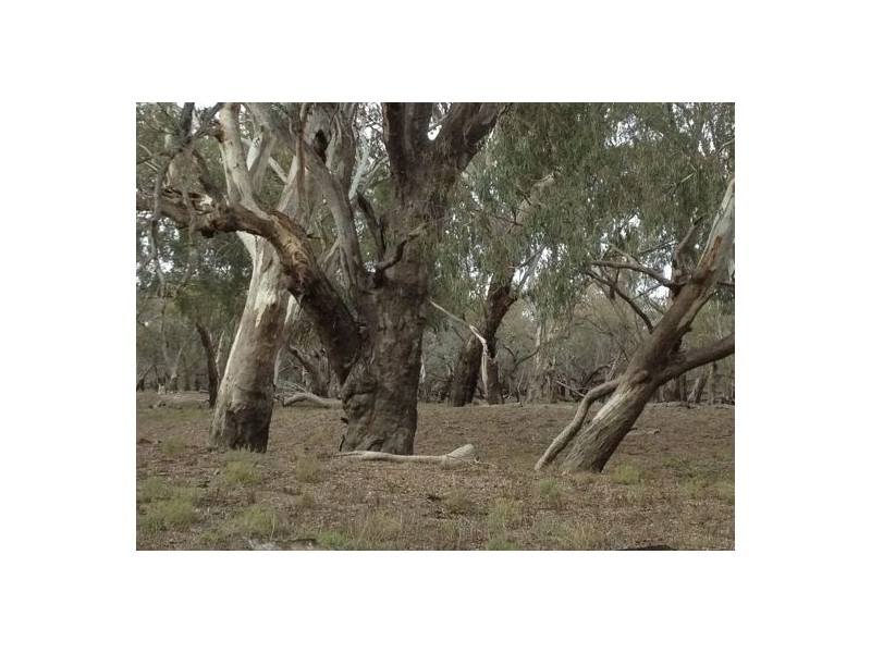 “BELMONT” LOT B, DP 418888, Walgett NSW 2832