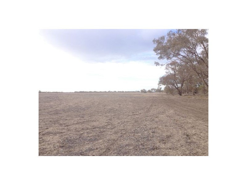 “BELMONT” LOT B, DP 418888, Walgett NSW 2832