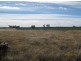 “KHYBER DOWNS”, Collarenebri NSW 2833