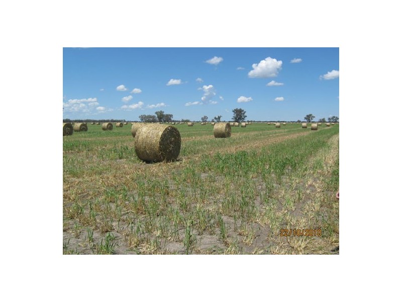 “KHYBER DOWNS”, Collarenebri NSW 2833