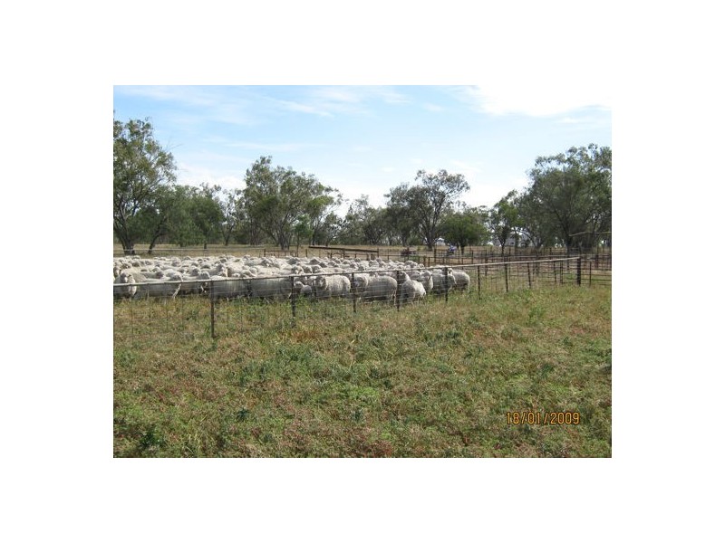 “KHYBER DOWNS”, Collarenebri NSW 2833