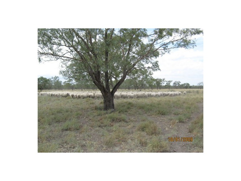 “KHYBER DOWNS”, Collarenebri NSW 2833