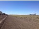“KHYBER DOWNS”, Collarenebri NSW 2833