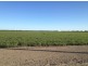 Ulah North, Walgett NSW 2832