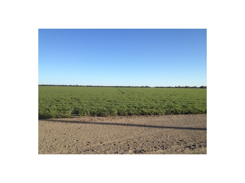 Ulah North, Walgett NSW 2832
