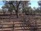 Ulah North, Walgett NSW 2832