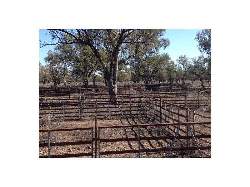 Ulah North, Walgett NSW 2832