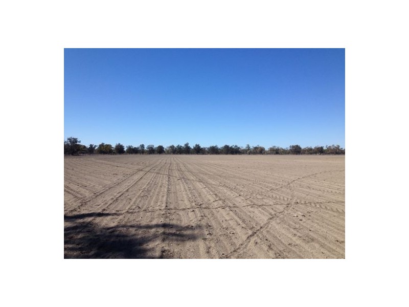 Ulah North, Walgett NSW 2832