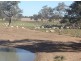 Errington Come By Chance Via, Walgett NSW 2832