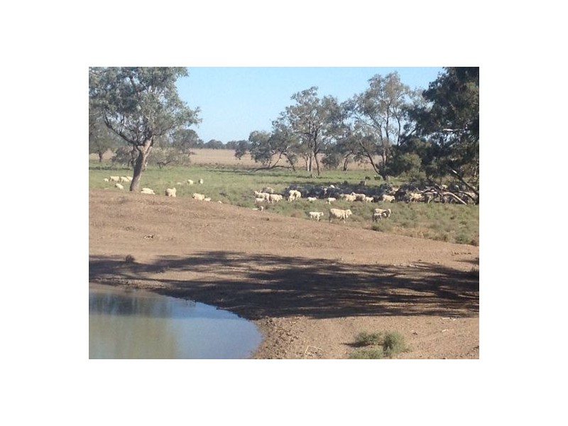 Errington Come By Chance Via, Walgett NSW 2832